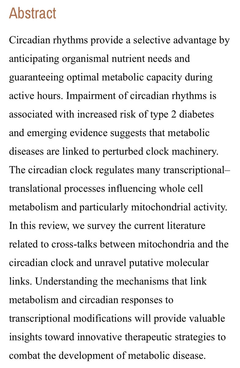 Circadian Rhythms and Mitochondria: Connecting the Dots  https://www.ncbi.nlm.nih.gov/labs/pmc/articles/PMC6187225/#!po=1.04167