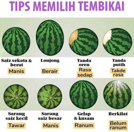 Tak la lepas ni main ambil je Tembikai masa beli 😆