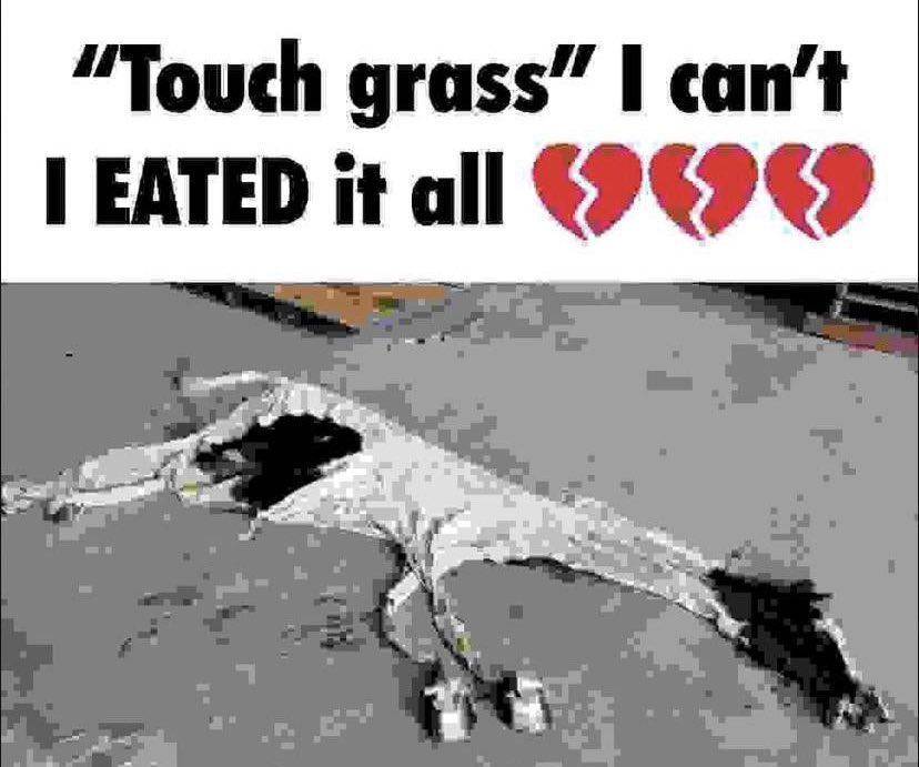 Images With Captions tweet media