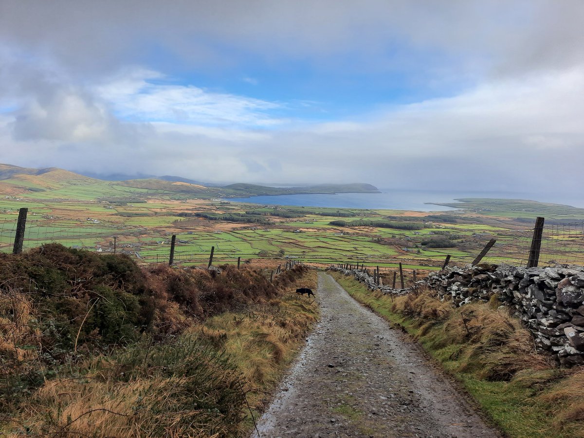 numoorepain's tweet photo. Wind and rain but always good to be out in the hills, few hours wandering about #mounteagle #westkerry #lovelife https://t.co/9kt8qod6E3