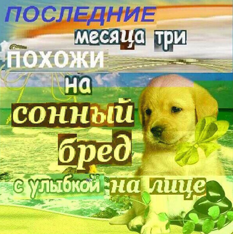 so_mad_so_funny's tweet photo. https://t.co/AhL2XovYlj