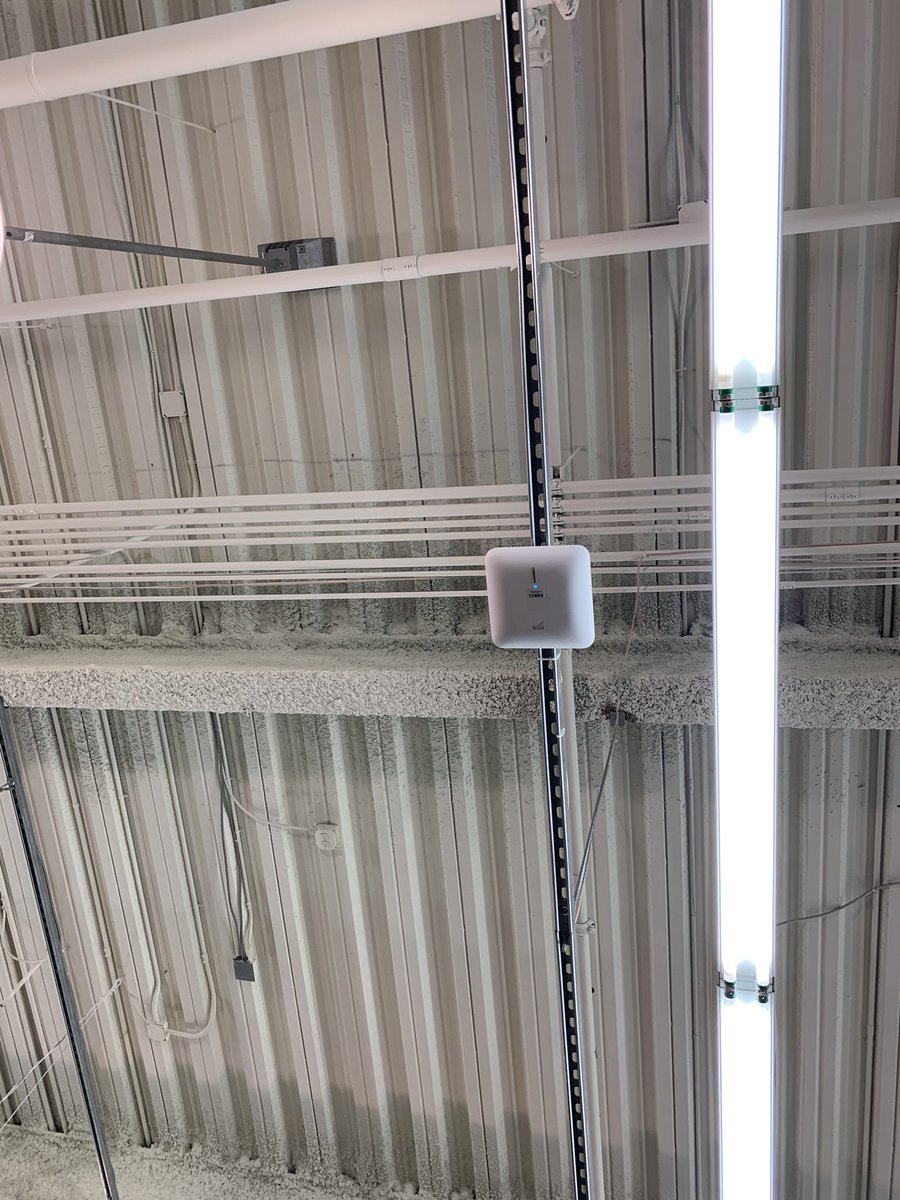 malief46's tweet photo. #ISpyMistAI I like how @OldNavy did these installs. https://t.co/52U1eQfEib