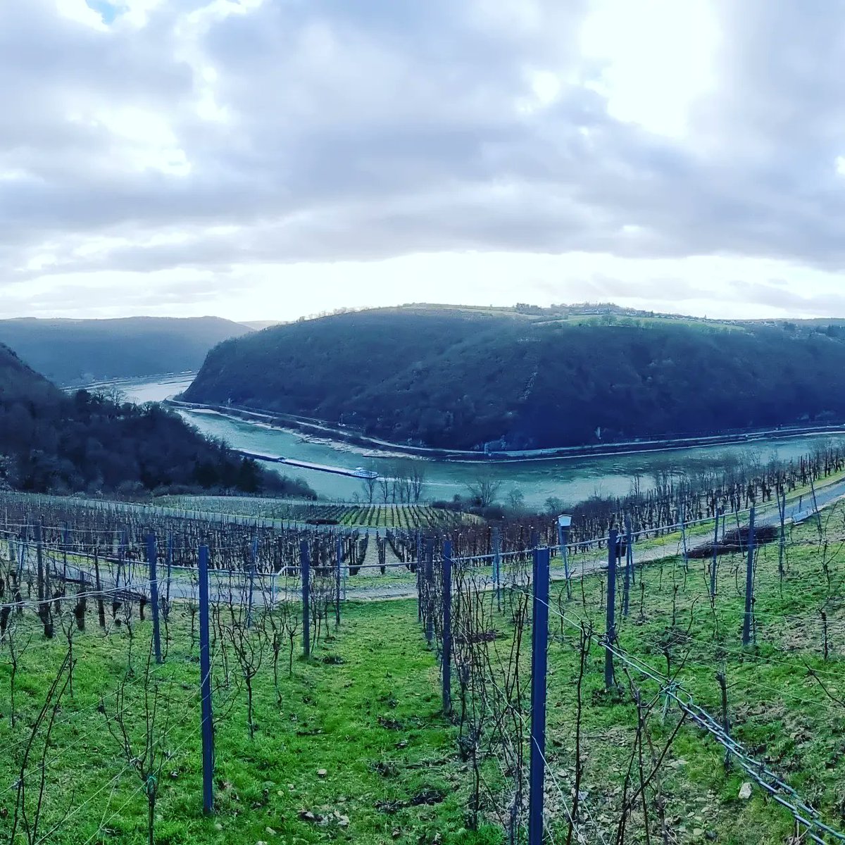jens_schreiber's tweet photo. Die Saison 2022 hat heute mit dem #Rebschnitt begonnen. #johanniter #jahrgang2022 #winzergenossenschaftloreley #bornich #mittelrhein #wineinprogress2022 #weltkulturerbe
https://t.co/yvUrLsUoAh https://t.co/5XB50wyi47