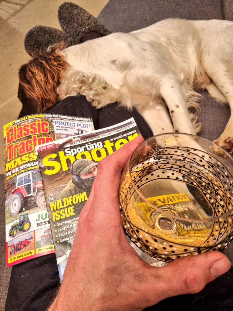 I get the impression I'm not going to be moving in a while...

<a href="/ClassicTracMag/">ClassicTractorSandy</a> <a href="/SportingSMag/">Sporting Shooter</a>

#Gundog #springerspaniel #dogsoftwitter #gundogsoftwitter #dogsofinstagram
