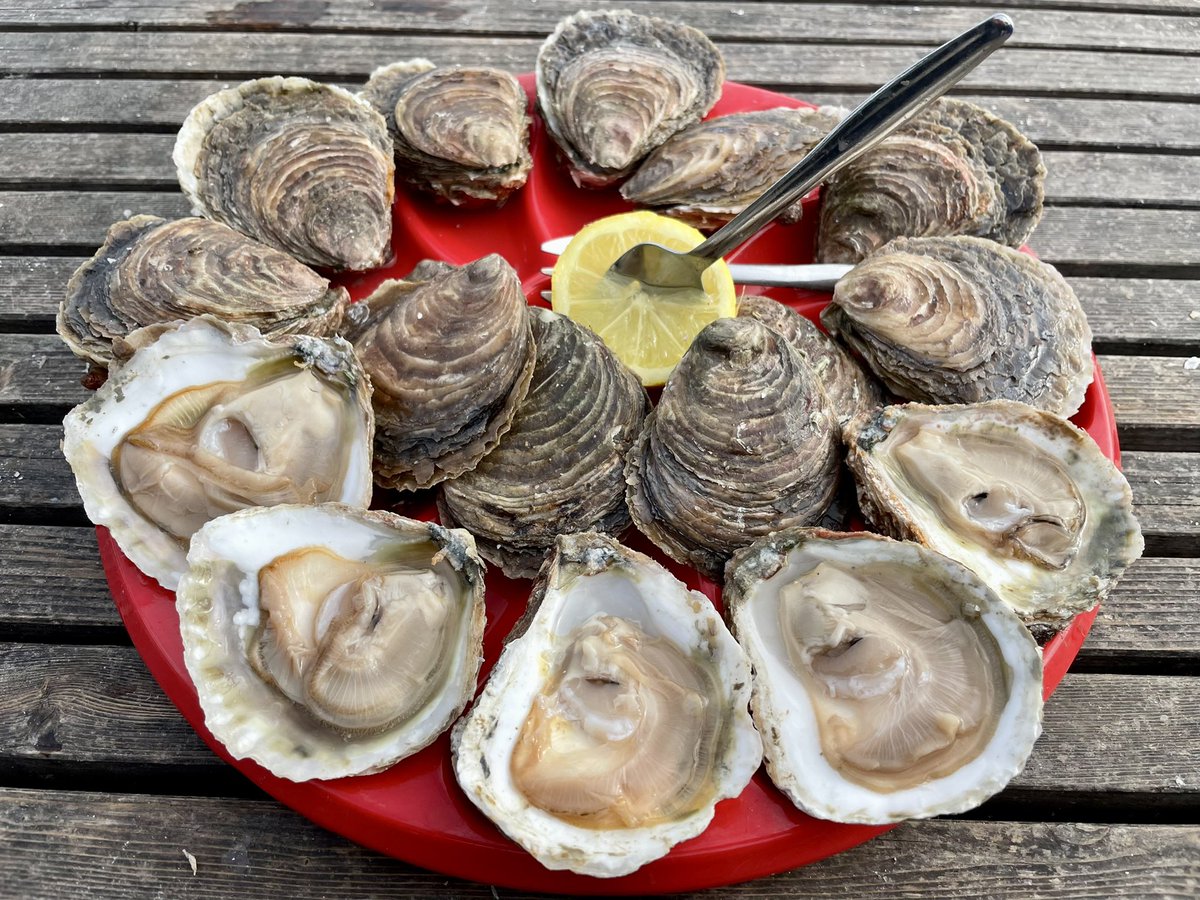 eatinglasvegas's tweet photo. “It is briny first of all, and not in the sense of brine in a barrel…There is a shock of freshness to it…some piercing intuition of the sea and all its weeds and breezes shiver you…You are eating the sea, something connected to life itself.” 🦪 #Belons https://t.co/WWz9lHTrrf