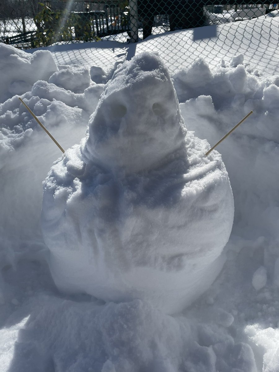 SplendorousZ's tweet photo. Hi Twitter, been a while. So I’m 30 and I just made my first snowman ever. Named him Gordo, praise be unto him. https://t.co/9uM82nbUWF