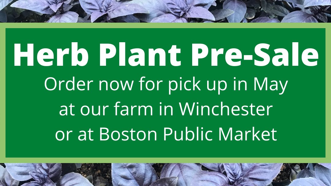 Thinking about your summer herb garden? Find out how you can order your herb plants now to ensure the best selection and easy pick up in May at our farm or <a href="/bospublicmarket/">Boston Public Market</a>!
conta.cc/3ggx4kJ