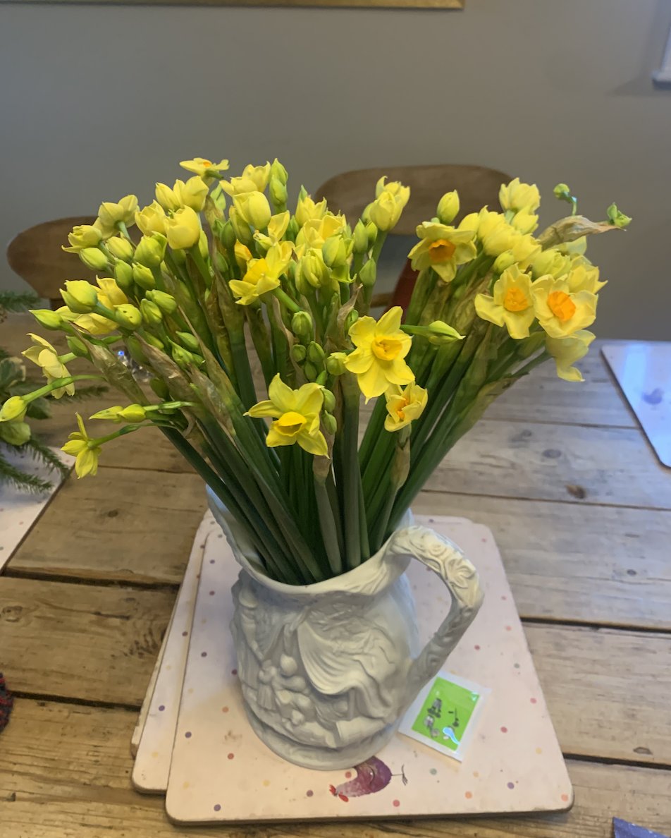 Happy Valentine's Day from all at EcoGro!

We hope you're all enjoying a beautiful bunch of flowers today.