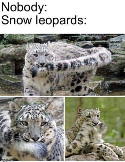 WholesomeMeme's tweet photo. https://t.co/ONSGuEhDDd