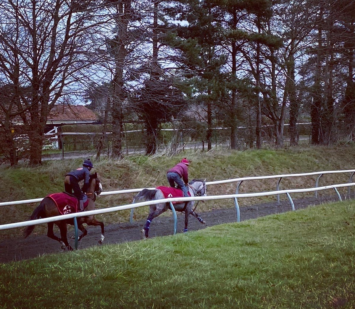 HarratonCourt's tweet photo. Meet Suanni the gorgeous grey. This talented three year old is very much part of the family, and everyone is excited to see his progress this season!
Can you guess what his name means?
#training #racehorses #sportsfan #galloping #earlymornings #winnerinthemaking #greyhorse https://t.co/NXOW59Yslj
