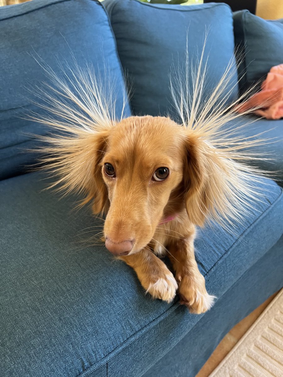 Eric Blake 🌀 tweet media