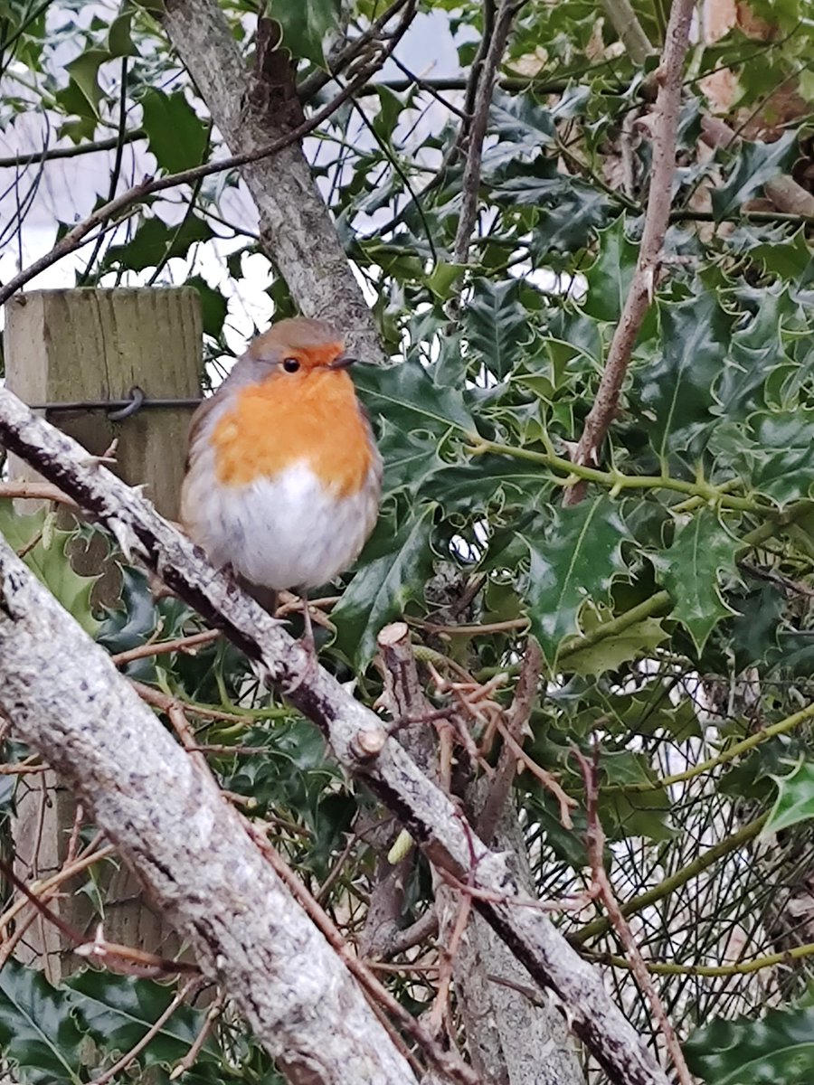 Christian Nicholson tweet media