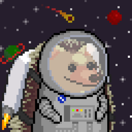 TheHedgelings's tweet photo. Hedgelings will be blasting off into the metaverse near you very soon!! #nft #Metaverse https://t.co/hocxXFJT2q