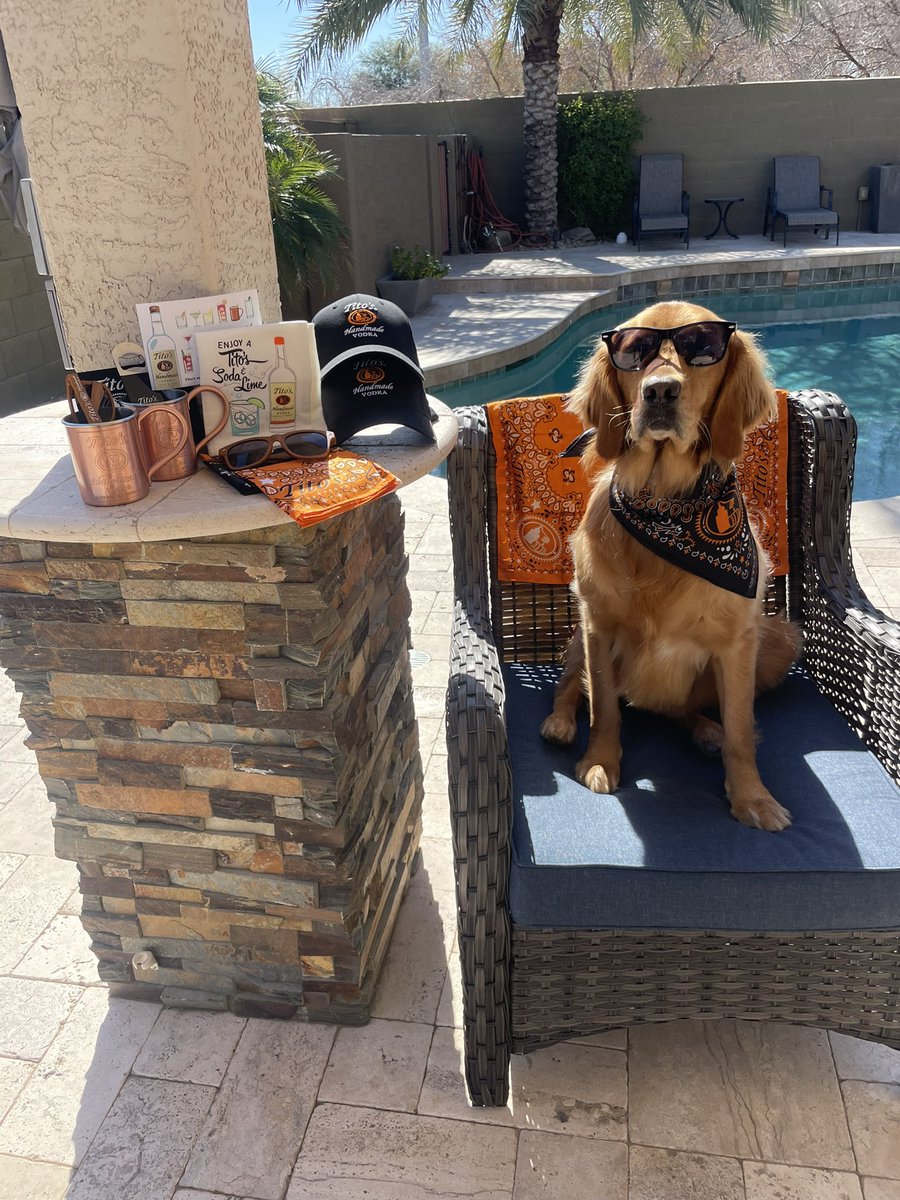 DRWoodin's tweet photo. Ready for summer now😎 Thank you for the wedding care package! @TitosVodka #Thevodkafordogpeople https://t.co/HYtY8ks5ko