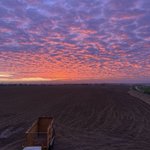 Photo by Mann Farms (@mann_farms)