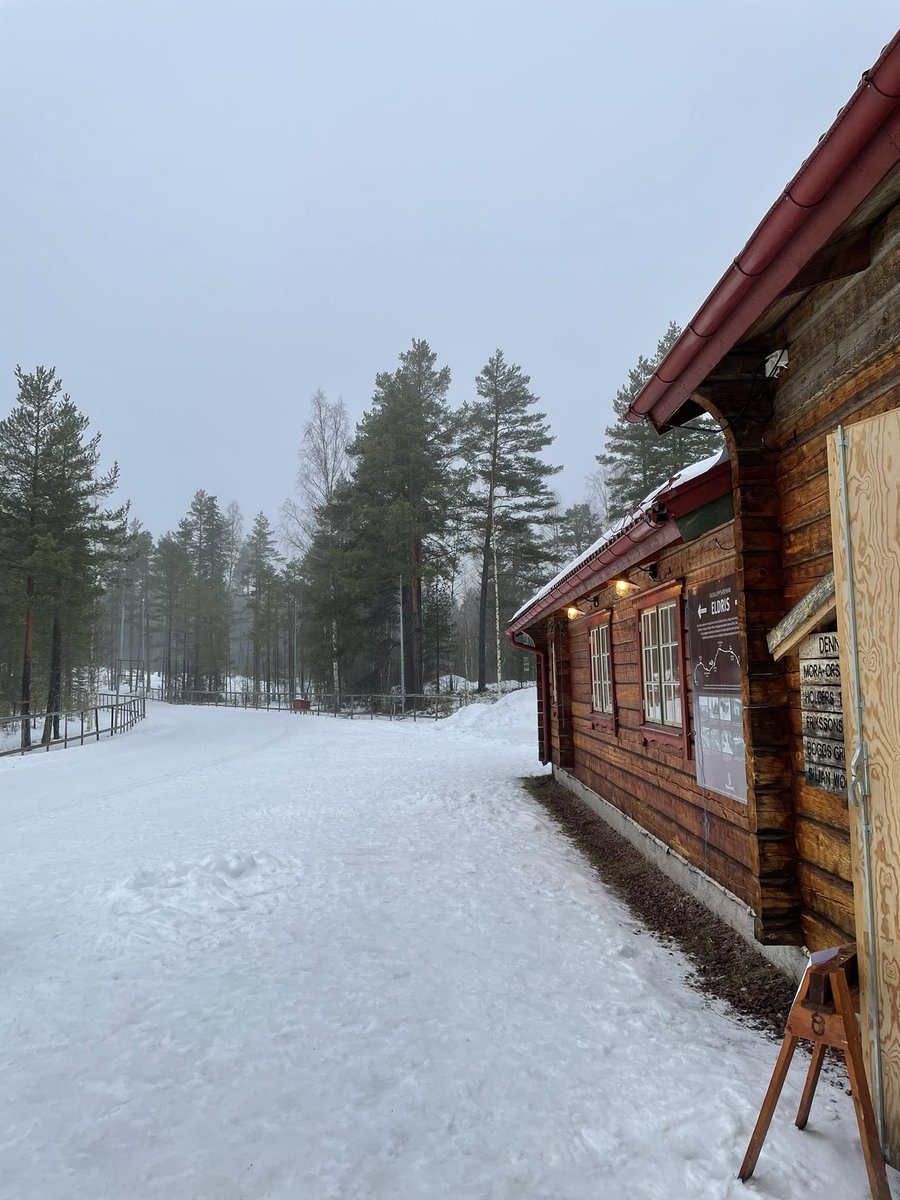 Hanna Wachtmeister (HannaWachtmeist) Twitter