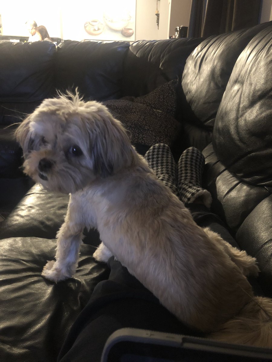 trish_dance's tweet photo. “Excuse me, is this seat taken?”👀 https://t.co/N6hb6YYYub