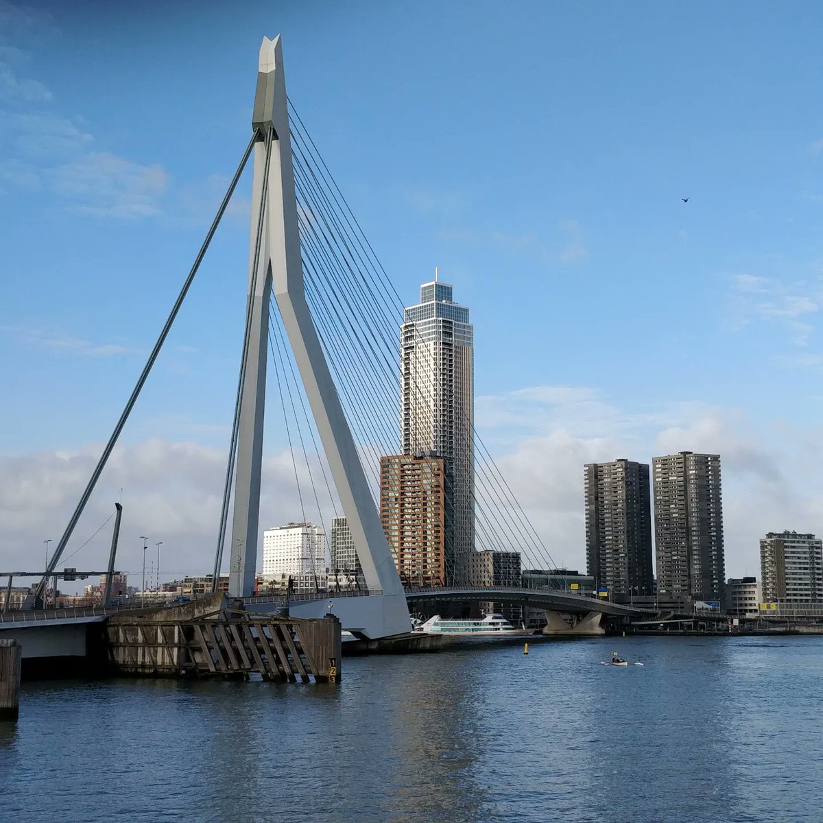 CarmenRos35's tweet photo. #RotterdamArchitecture https://t.co/w7GalCpziV
