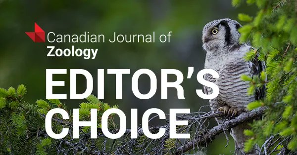 NEW | Editor's Choice Canadian Journal of #Zoology. Skull morphological variation in a British stranded population of false killer whale (Pseudorca crassidens): a three-dimensional geometric morphometric approach: buff.ly/3s2JT7Z
<a href="/LJMU/">Liverpool John Moores University</a> <a href="/NHM_London/">Natural History Museum</a> #killerwhale