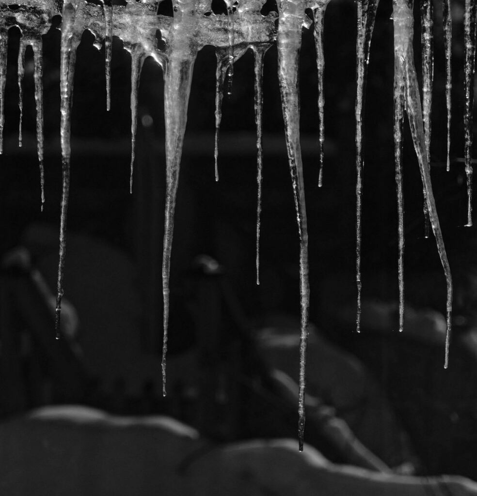 johnbeales's tweet photo. Winter-ish.
#bnwphotography #bnw_captures #monochrome #acrosfilmsimulation #myfujifilmlegacy #fujifilm_xseries #wintermoments #wintersun https://t.co/rZq5Fy2YvM https://t.co/IEKzUZZORn