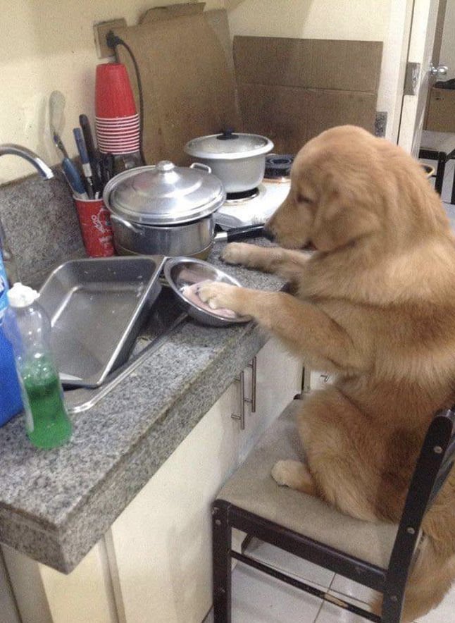 regulovalentin's tweet image. Como quiero estar // Como estoy