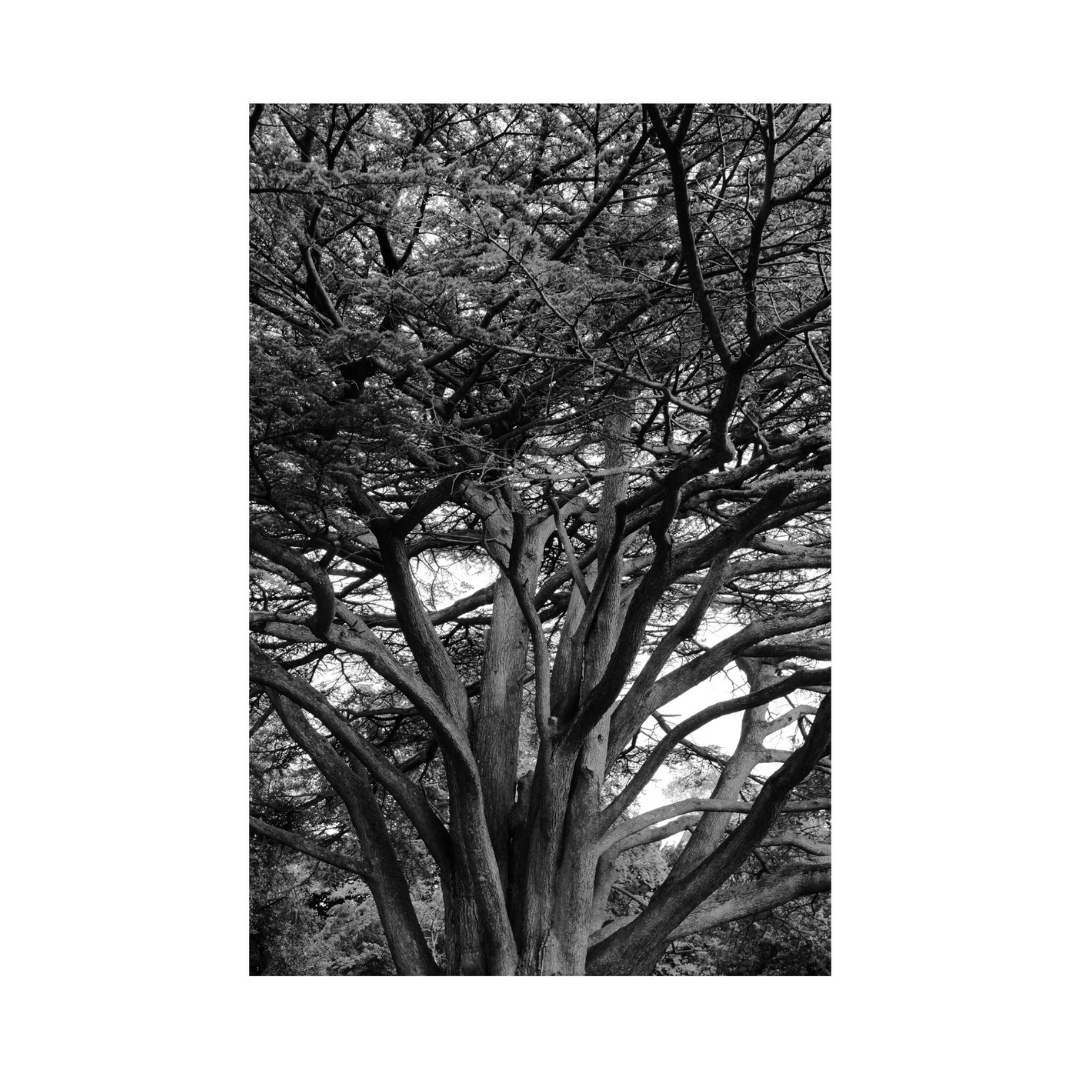 Big Shop Friday tweet media