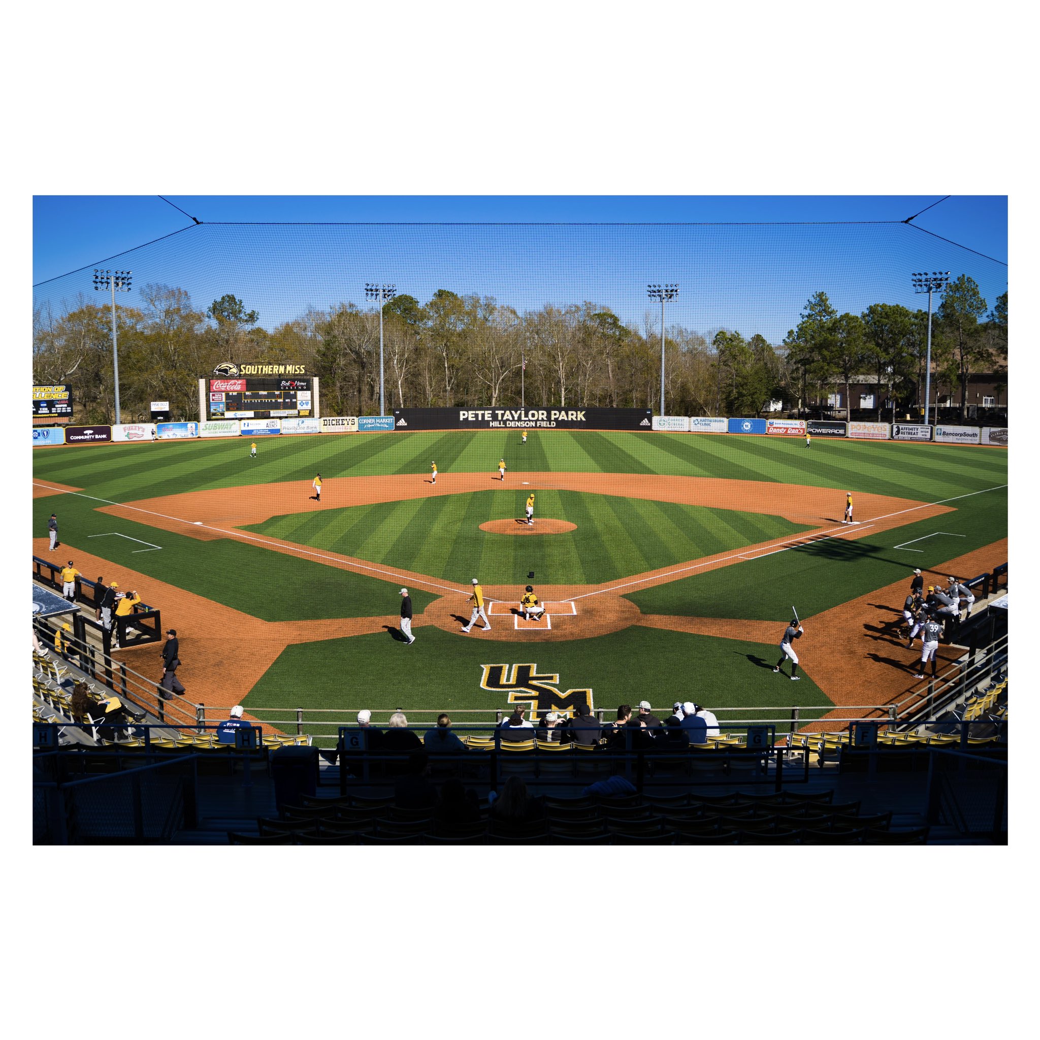 Southern Miss Baseball Southernmissbsb Twitter
