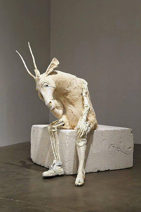 Muazzez Çörtelek tweet media