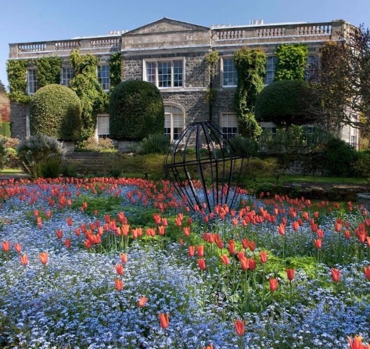 piinkibun's tweet image. 