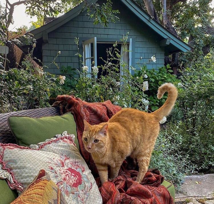 piinkibun's tweet image. 