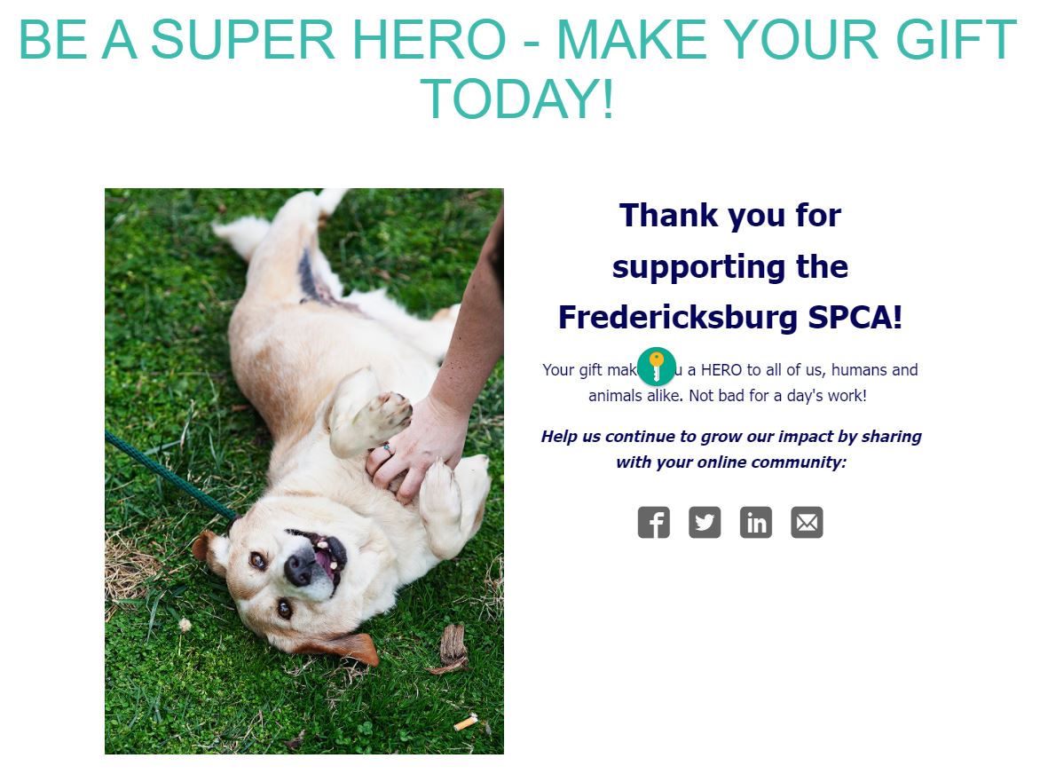 GreenPicksFREE's tweet photo. Donation of $250 has been made to the Fredericksburg SPC on behalf of @WhipCorpRacing!!

Great charity and even better person!!  Well done Whip! https://t.co/oUMg4KWAi8
