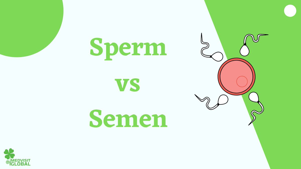 MedvisitGlobal's tweet photo. Did you know that #sperm and #semen are two different things? 
Learn more: https://t.co/NWhsSFi8hp https://t.co/N35tsaEvhu