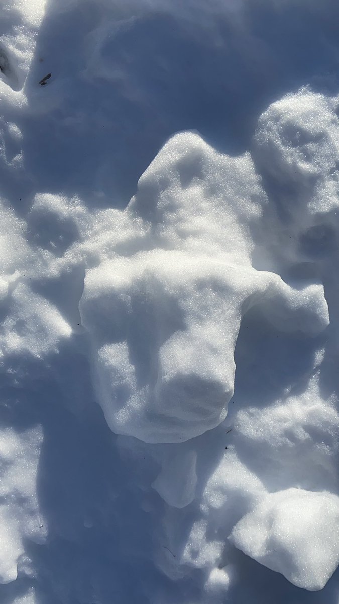 CandiceScheets's tweet image. Something told me to make beef for dinner…🥩 #Beef #blizzard2022