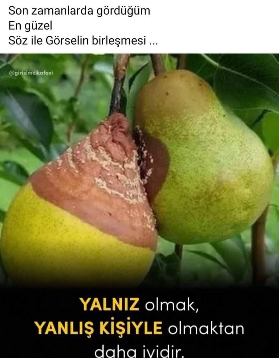 TavukcuogluY's tweet photo. https://t.co/5fMEAfP9ke