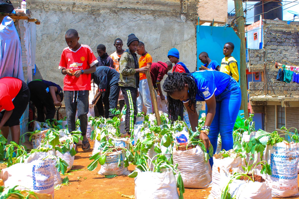 NjokiSusan2's tweet photo. @castrofy26 @MisterAlbie Con #NikujaribuTu .. in how to set up plants and manage the sacks gardens.
The 10K will help the initiative find a new location because it's currently on hold due to lack of space https://t.co/SOiD3INTSi