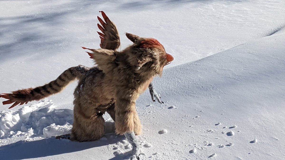 Shimmercatt's tweet image. Being a snowbird can be..a struggle.. 🐥❄️⛷️

#clockworkcreature #tierneygryphon #fursuit