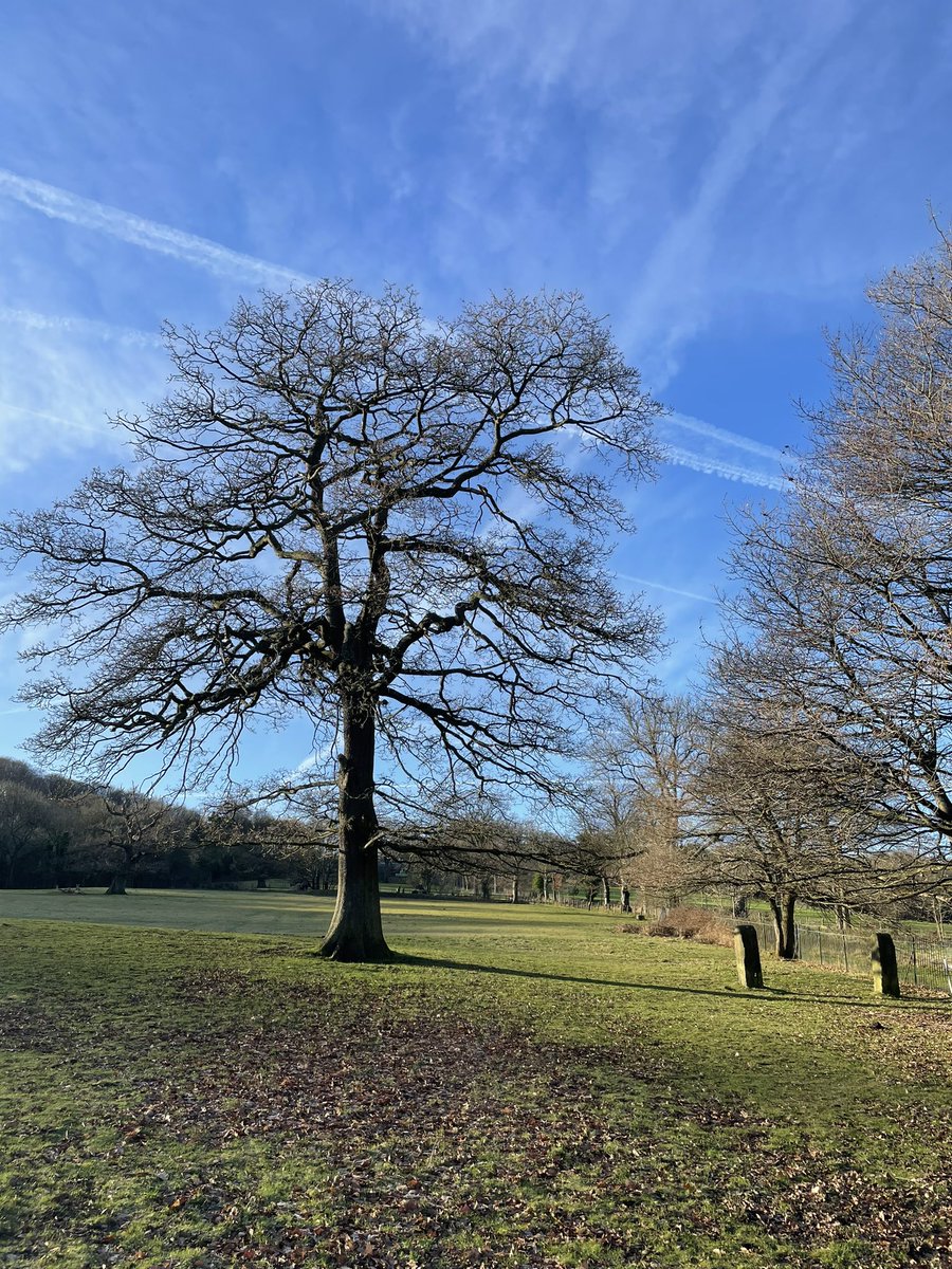 chiaragallo's tweet photo. This morning run was pretty beautiful #running #YORKSHIRE #Sheffield https://t.co/PDKl5irspt