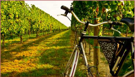 CafeVeloce's tweet image. #MondayNightWineFlights
Ft. Northern #ItalianWines

Mon Night, Jan 31st:
Try All 3 Wines in a Flight for $9!

2020 Famiglia Pasqua 11 Minutes Rosé
2019 Ruggeri Corsini Barbera d’Alba
2019 Felsina Berardenga Chianti Classico

cafeveloce.com/event/monday-j…

(425) 814-2972

#CafeVeloce