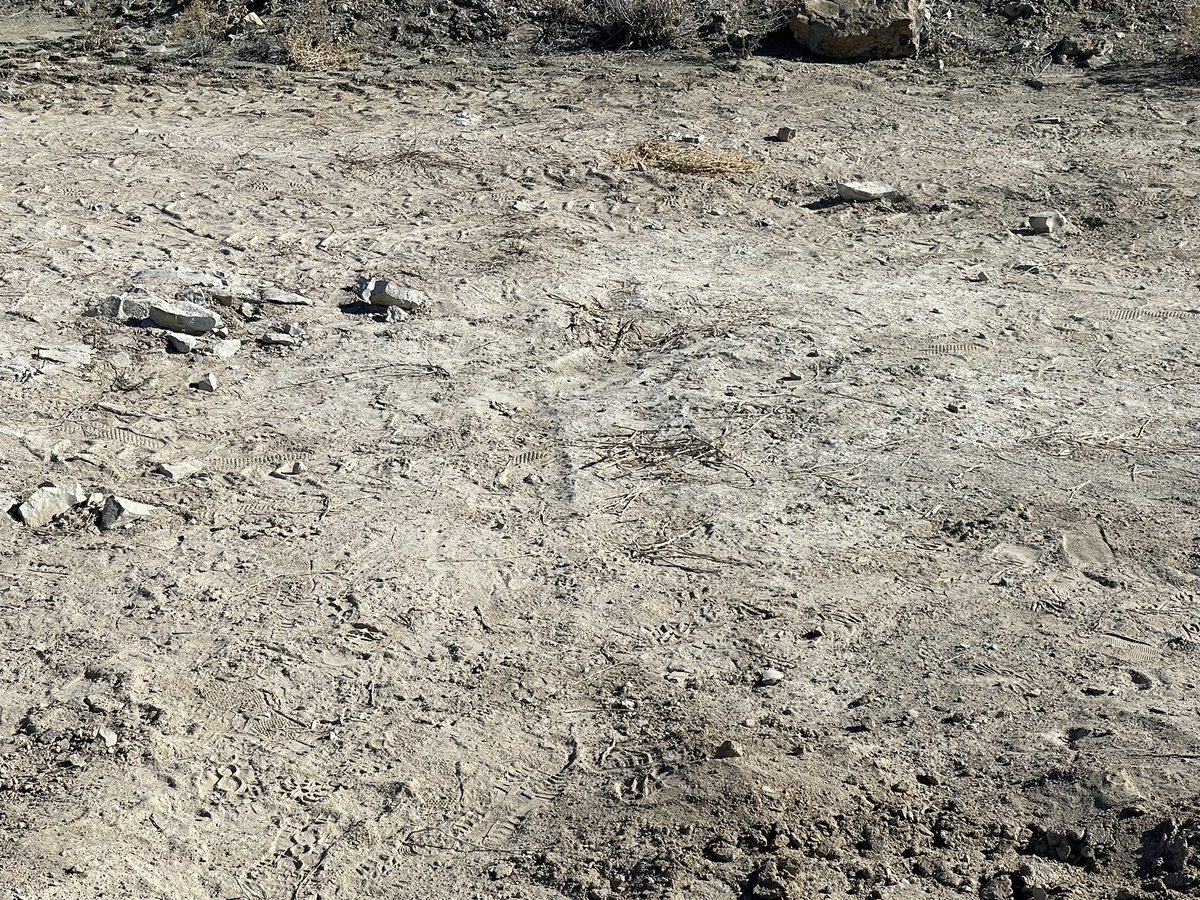 JeremyBRoberts's tweet photo. This was a crocodile resting trace. It’s gone. Completely gone. Driven over and buried. https://t.co/bc8PuieKvA