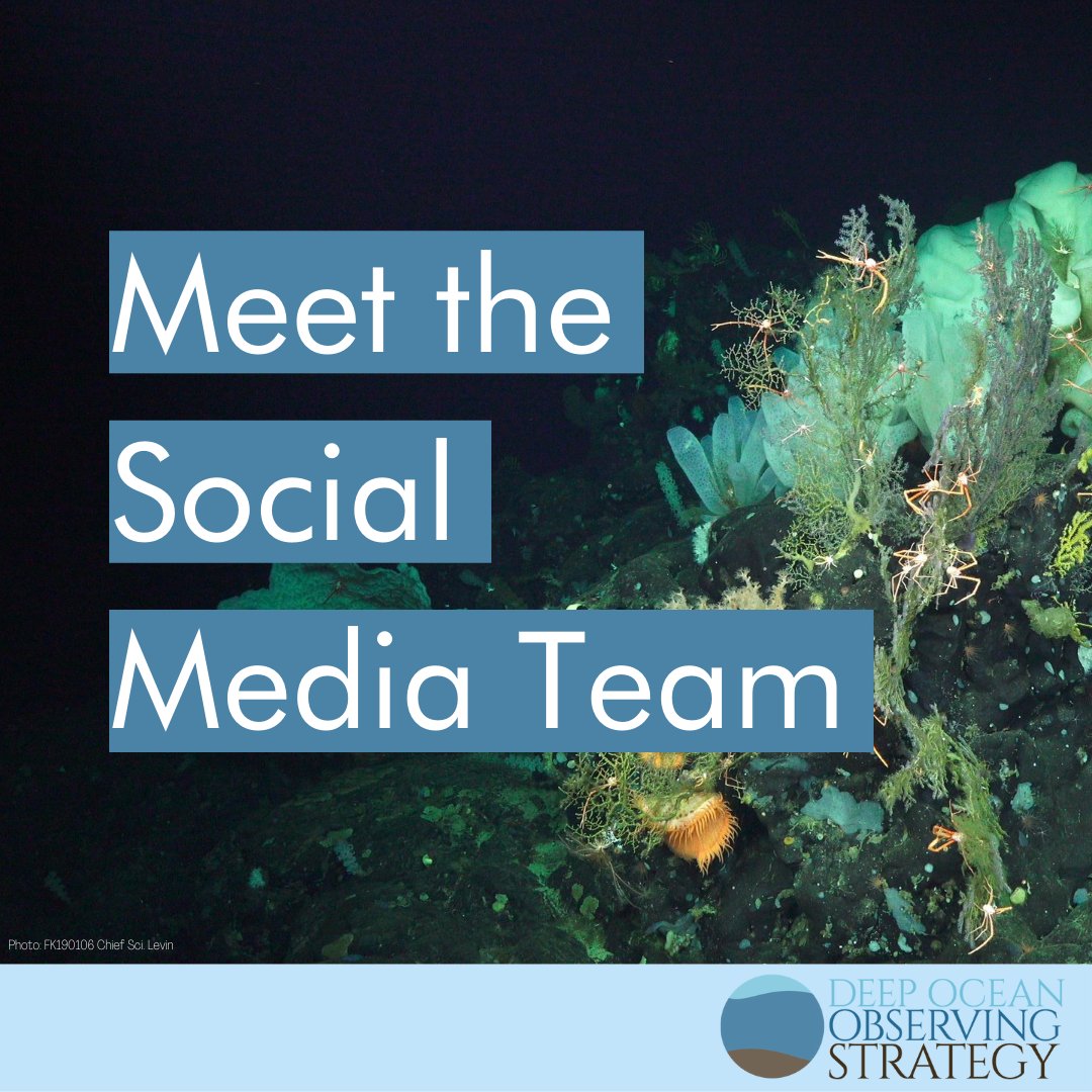 We have an incredible group of #DeepOceanDOERs working hard preparing a lot of #DeepOcean content to share here! Meet the new #DOOS Social Media team 👇 (1/12)