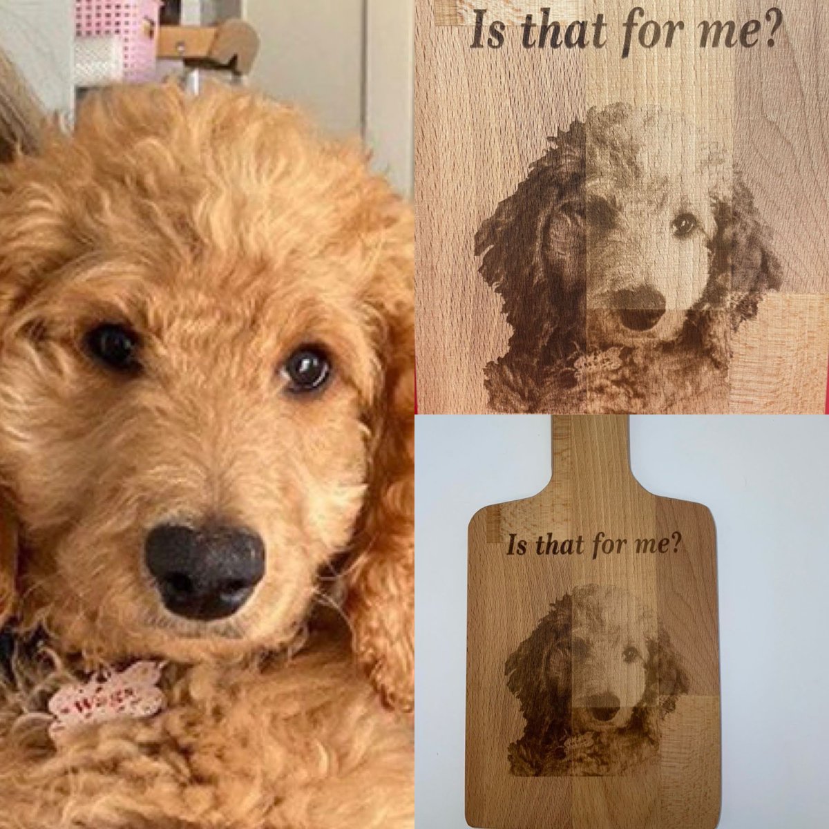ChinitasCreat's tweet image. It was amazing transforming Wags moment into a beautiful memory chinitascreations.com.au

#personalised #pawtrait #personalisedgifts #petgifts #cute #puppies #dog #puppygifts #present #paws #cute #selfie #petlovers #love #instadog #giftsfordoglovers
