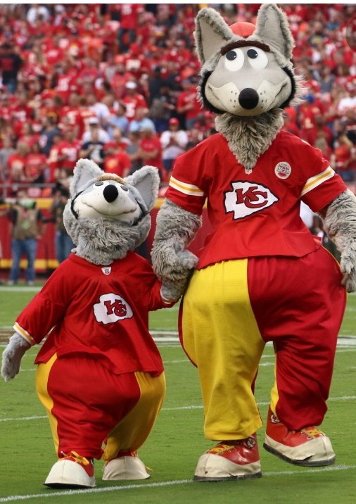 VeroniqueVacher's tweet photo. Super match de Finale de Conférence du football Américain ! Toute la famille à fond pour les #Chiefs de #KansasCity avec la super mascotte La #souris SAUF mon chat Tigre à fond pour les #Bengals !!!😄🤣notre rêve gagner le 🏈 !! Merci à #equipeNfl tous pour vos commentaires 🤩🥰 https://t.co/nKTBgjPAo3
