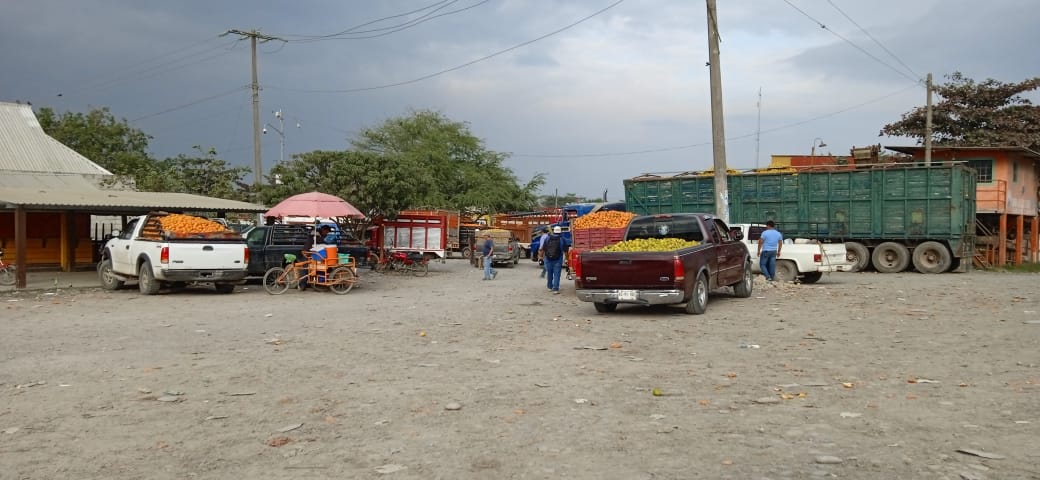 presente_v's tweet image. #Economía alamense a punto de colapsar en #Álamo, #Temapache. 

#Nota #Completa 👇

presenteveracruz.com.mx/2022/01/30/eco…