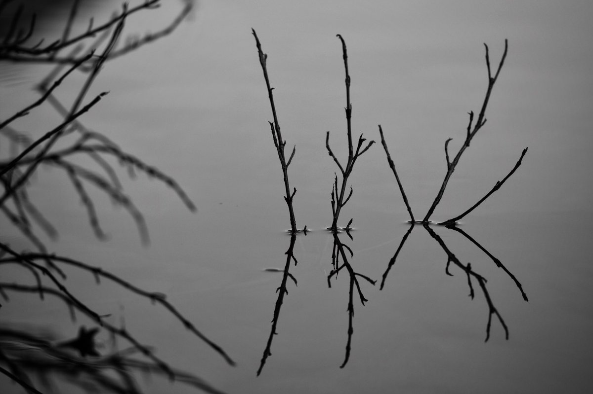 ConsumerDavid's tweet image. #blackandwhitephotography