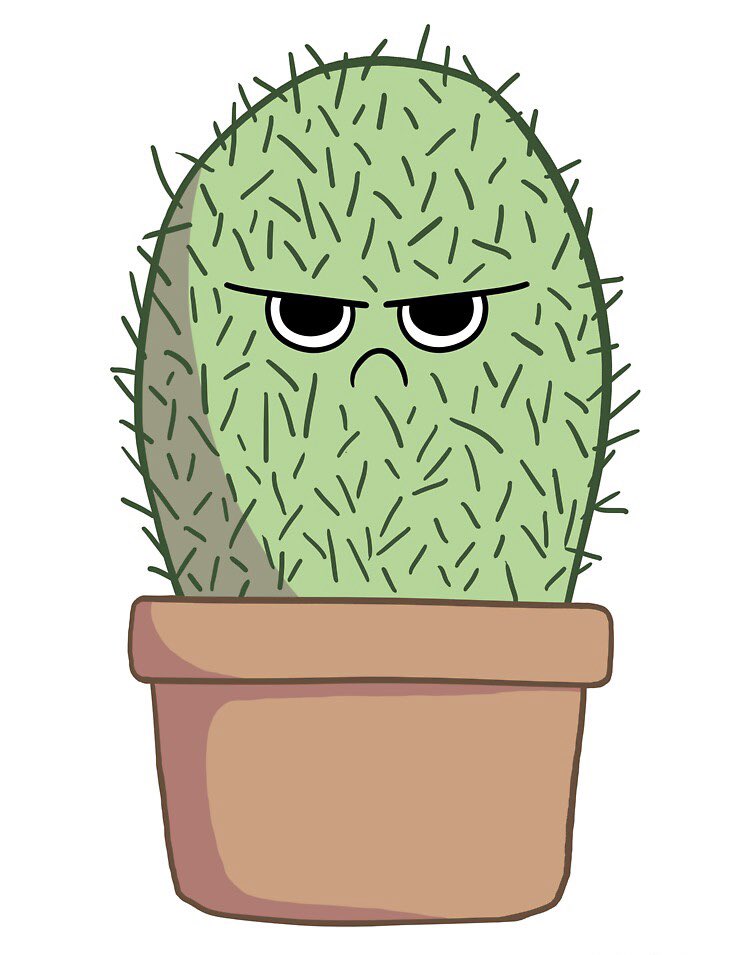 CryptoCactusss's tweet photo. #NFTCommunity 49/50 CryptoCactus listed now on opensea. Don’t miss your chance to join CryptoCactus gang https://t.co/7kIUl5pcW2