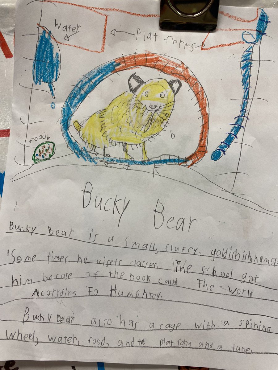 Jane Simmons (@simmonseagles1) on Twitter photo I found this Lego hamster swinging from our blinds today! My own daughter & Second grade students have loved all things Humphrey & Bucky Bear during our #hesoneschoolonebook #hesshinebright . <a href="/WallaceHESlib/">Emily Wallace</a> <a href="/StacyKuhlmannLL/">Stacy Kuhlmann</a> & more have made it so memorable for us! I found this Lego hamster swinging from our blinds today! My own daughter & Second grade students have loved all things Humphrey & Bucky Bear during our #hesoneschoolonebook #hesshinebright . <a href="/WallaceHESlib/">Emily Wallace</a> <a href="/StacyKuhlmannLL/">Stacy Kuhlmann</a> & more have made it so memorable for us!