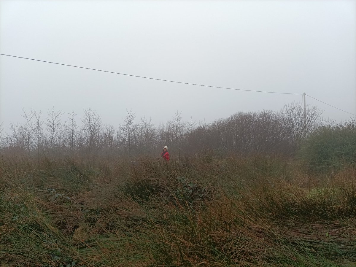 island_mud's tweet photo. This brave #mudislander was collecting rushes for #StBrigidsDay today! Weโll be making Brigid crosses between 2-5 on Tuesday. Weโll hold workshops on the hour but drop in anytime if you know how!
https://t.co/6YKa04H9gs https://t.co/dhQyGFuZrn