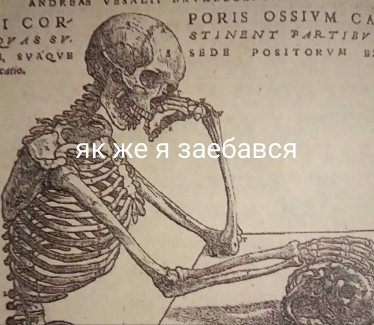 Картошка в мундире (@_little_devil_6) on Twitter photo 
