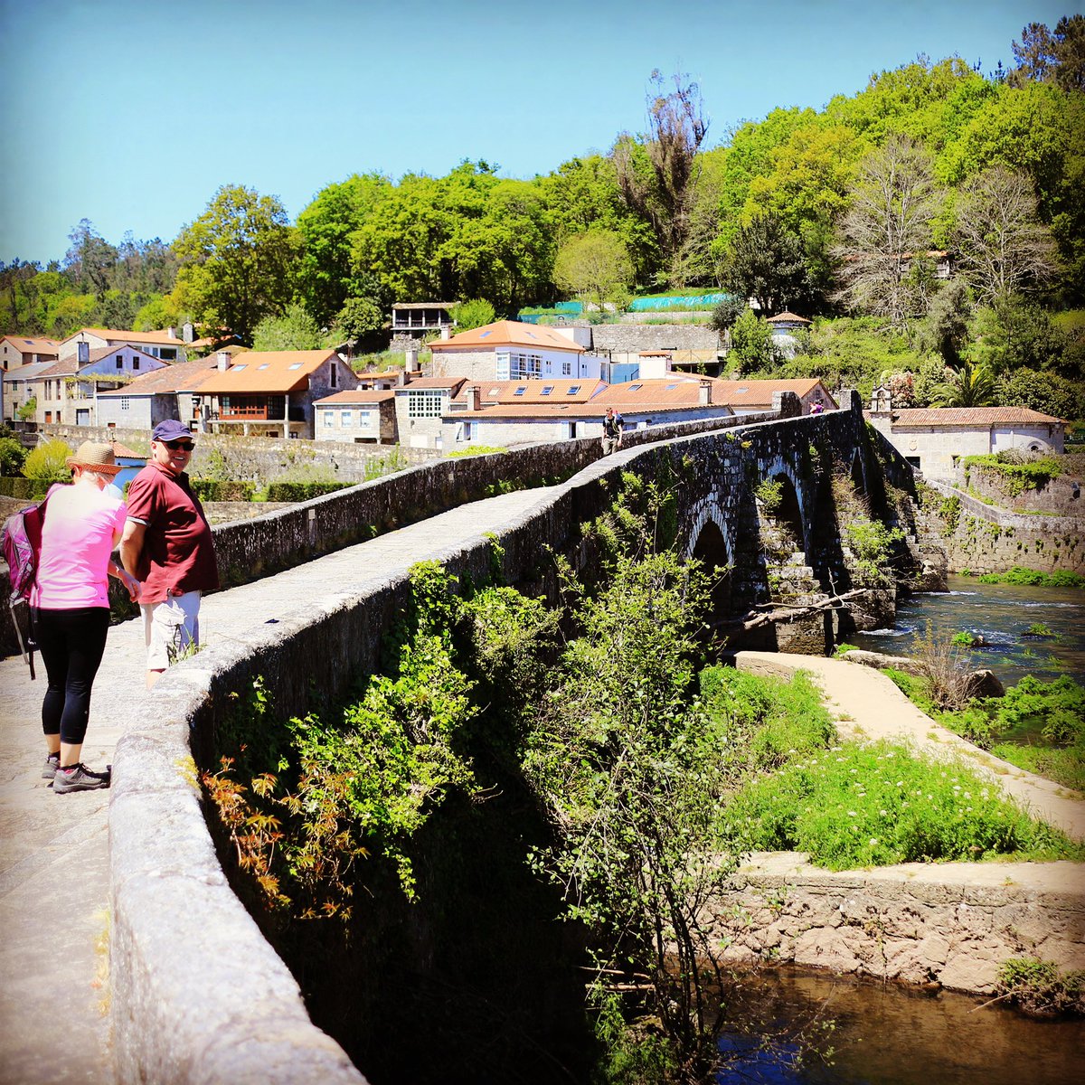 lib_peregrinos's tweet photo. Buen camino todos.
Camino de Fisterra

📍📷 Ponte Marceira, Galicia, Spain

Memory of my #CaminodeSantiago
#caminofrancés #caminofrances #viapodiensis #jacobsweg #bonchemin #buencamino #ultreia instagram https://t.co/Gz1UyIPfPO