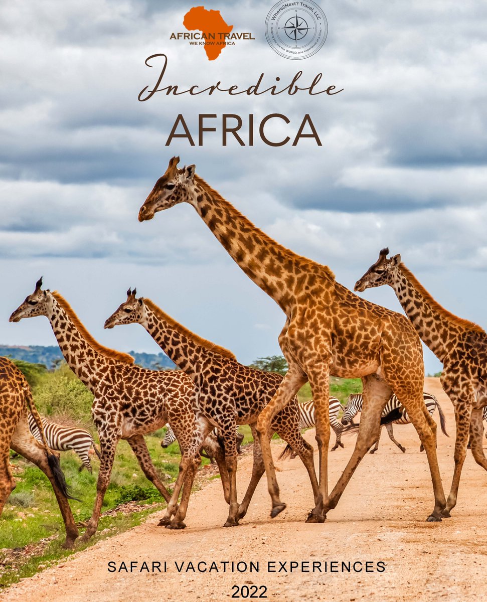 Where2NextT's tweet image. Here is a peek at my special issue this week! Become a VIP and get yours every Sunday (link.where2nexttravel.co/qb2).⁠
⁠
EXPEDITION TRIPS - SAFARI VACATION EXPERIENCES
⁠
Helping you see the WORLD, one experience at a time.™

#Where2NextTravelLLC #LUCULLANEzine📖